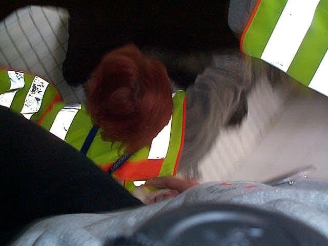 Antjewirdgeduscht (1).jpg